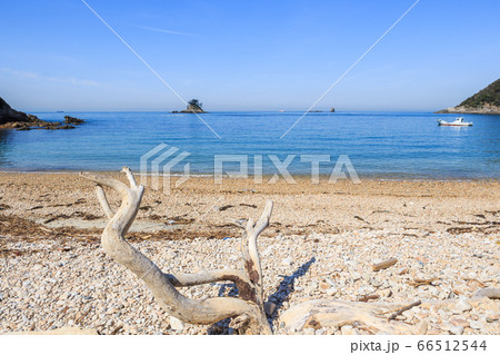 流木と朝の鯨浜（くじはま）　愛知県篠島 66512544