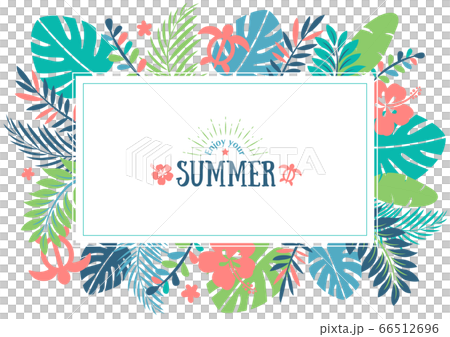 热带夏天树叶1的背景框架 图库插图