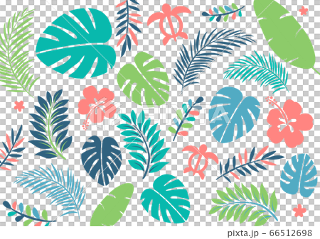 熱帶夏季樹葉1的背景圖案 插圖素材 圖庫