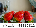 イチゴ 食品 フルーツ 66512812