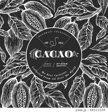 Hand Drawn Cocoa Design Template Vector Cacaoのイラスト素材