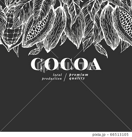 Hand Drawn Cocoa Design Template Vector Cacaoのイラスト素材