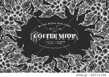 Hand drawn coffee design template. Vector coffee 66513108