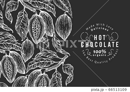 Hand Drawn Cocoa Design Template Vector Cacaoのイラスト素材