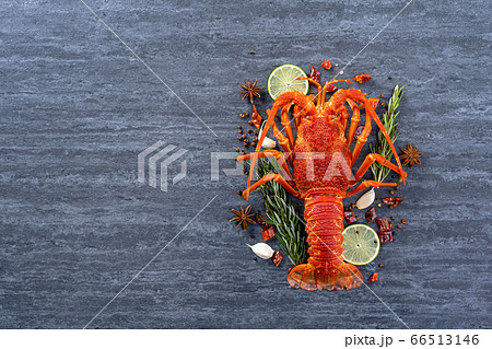 海老 エビ ロブスター 66513146