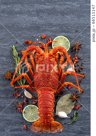 海老 エビ ロブスター 66513147