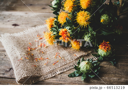 ベニバナ　ナチュラルな花の素材画像 66513219