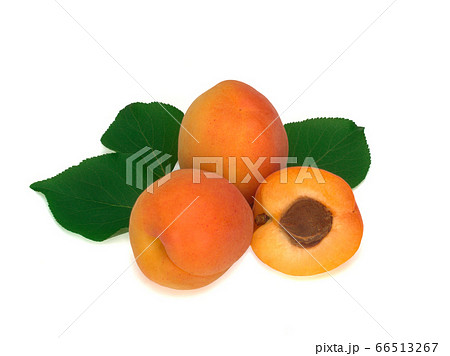 Fresh apricot fruits and leaves isolated on white background 66513267