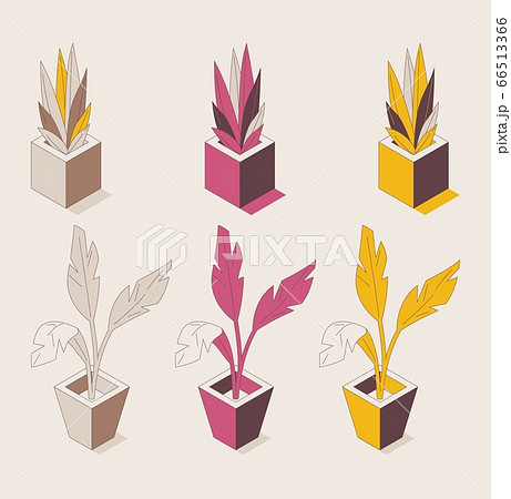 Isometric 3d collection with office plants deawn Isometric 3d collection with office plants deawn 66513366