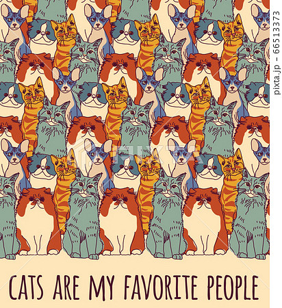 Group cats and funny sign color Group cats and funny sign color 66513373