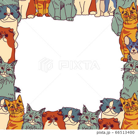 Group Cats frame border isolate on white 66513400