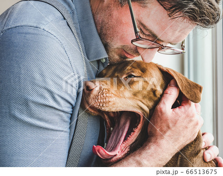 Handsome man and a charming puppy. Close-up 66513675
