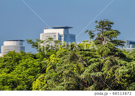 愛知県　名古屋市　名城公園 66513872