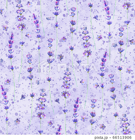 Lavender flowers and purple splashes watercolor seamless pattern on purple brush strokes background Lavender flowers and purple splashes watercolor seamless pattern on purple brush strokes background 66513906