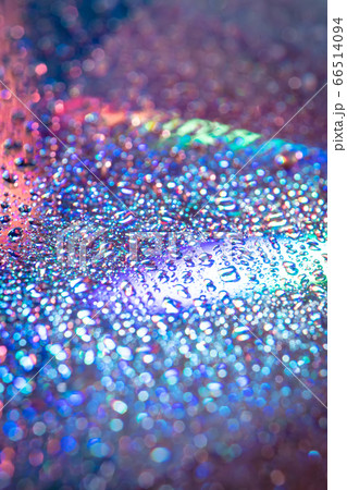 water drops on dvd media, water drops on colorful 66514094