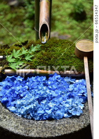 楊谷寺の花手水 66514347