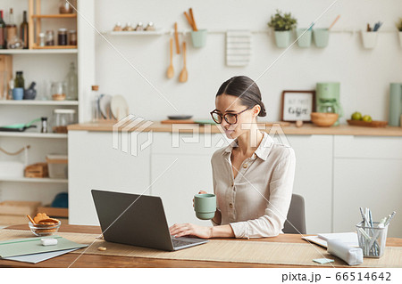 Elegant Young Woman Using Laptop in Kitchen Elegant Young Woman Using Laptop in Kitchen 66514642