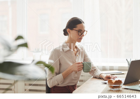 Elegant Woman Using Laptop at Breakfast 66514643