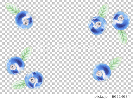blueberry blueberry 66514684