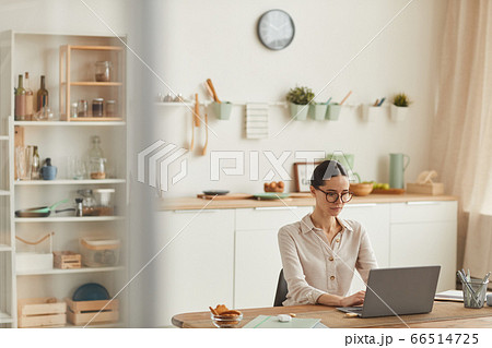 Young Woman Working from Home 66514725