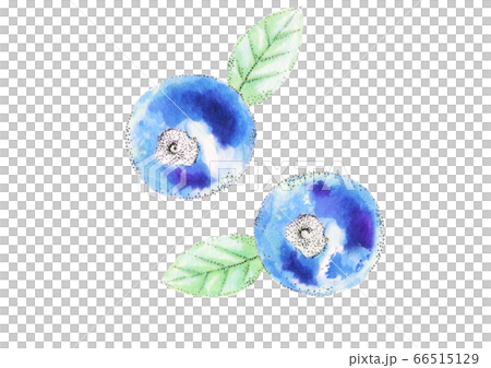blueberry blueberry 66515129