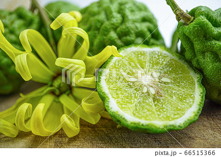 Bergamot fresh fruit on wooden background with yellow flower 66515366