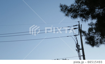 電線 三日月 月 66515493