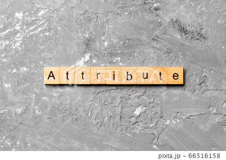 ATTRIBUTE word written on wood block. ATTRIBUTE ATTRIBUTE word written on wood block. ATTRIBUTE 66516158