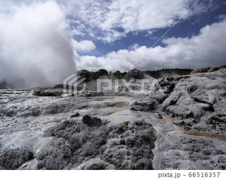 ロトルア テ・プイア ポフツガイザー Pohutu Geyser, Te Puia, Rotorua 66516357