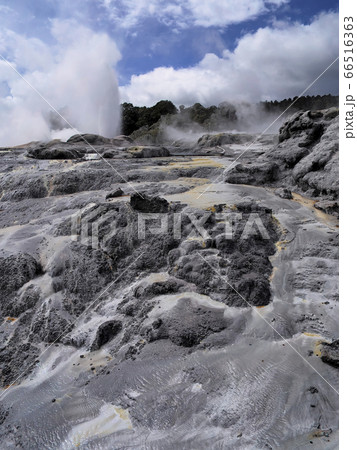 ロトルア テ・プイア ポフツガイザー Pohutu Geyser, Te Puia, Rotorua ロトルア テ・プイア ポフツガイザー Pohutu Geyser, Te Puia, Rotorua 66516363