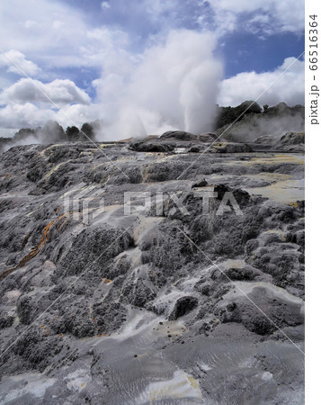 ロトルア テ・プイア ポフツガイザー Pohutu Geyser, Te Puia, Rotorua ロトルア テ・プイア ポフツガイザー Pohutu Geyser, Te Puia, Rotorua 66516364