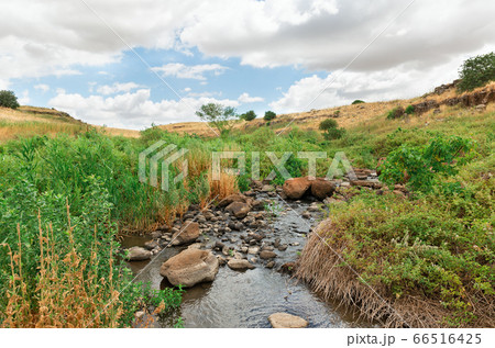 creek in the Golan Heights against the blue sky 66516425