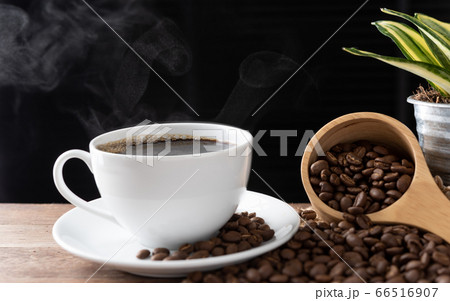 Steam coffee cup with roasted beans and flower pot Steam coffee cup with roasted beans and flower pot 66516907