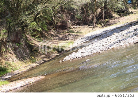 自然 自然 66517252