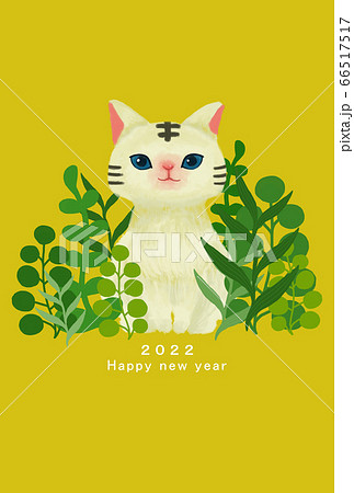 22年賀状テンプレート ハッピーニューイヤー 年賀状 虎年 とら年 トラ年 虎年 寅年 2022のイラスト素材 22年賀状テンプレート ハッピーニューイヤー 年賀状 虎年 とら年 トラ年 虎年 寅年 2022のイラスト素材