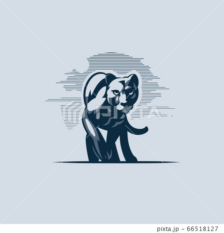 Panther or cougar, wild cat moves Panther or cougar, wild cat moves 66518127