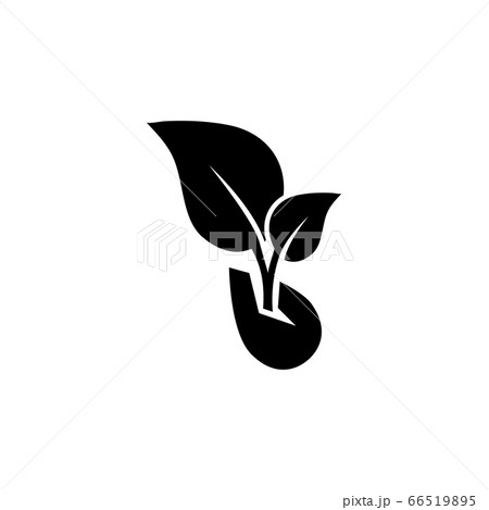 Sprouted Grains, Microgreen Sprout Flat Vector 66519895