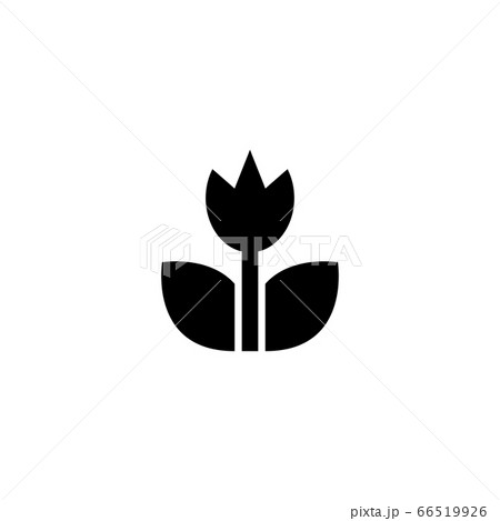 Spring Tulip, Garden Flower Flat Vector Icon 66519926