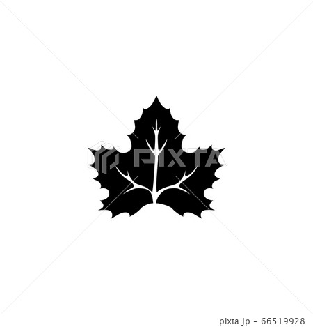 Canadian National Maple Leaf Flat Vector Iconのイラスト素材