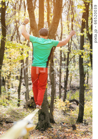 A bearded man aged walks along a slackline in the autumn forest on a sunny afternoon. The concept of Leisure and Recreation of active middle-aged people 66520039