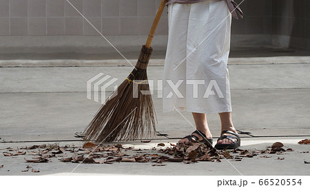 Woman sweeping dry leaves on the cement floor with long wood broom and keeping outdoor clean everyday which images showed middle aged female leg with white pants and black color sandal. Woman sweeping dry leaves on the cement floor with long wood broom and keeping outdoor clean everyday which images showed middle aged female leg with white pants and black color sandal. 66520554
