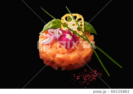 salmon tartare on black background salmon tartare on black background 66520862