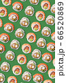 Pattern of different delicious sushi isolated  66520869