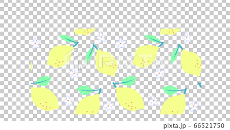 Lemon hand drawn seamless pattern - Stock Illustration [66521750] - PIXTA