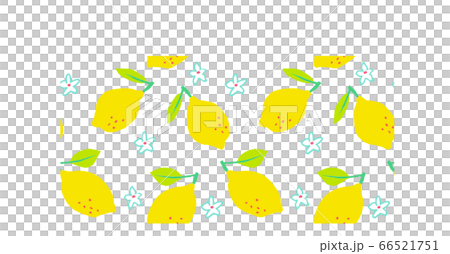 Lemon hand drawn seamless pattern - Stock Illustration [66521751] - PIXTA