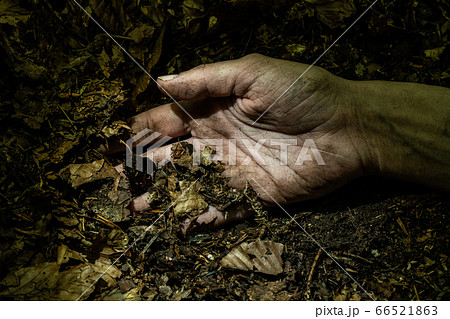 殺人のコンセプト 66521863