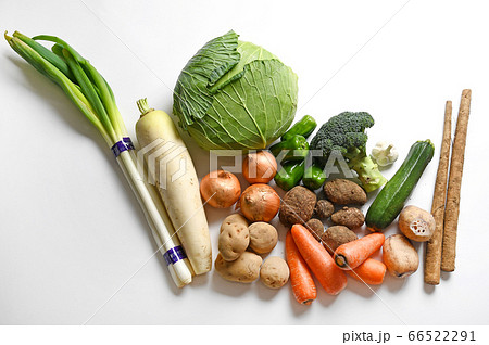 野菜 集合 野菜 集合 66522291