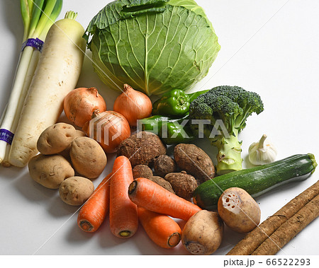 野菜　集合 66522293