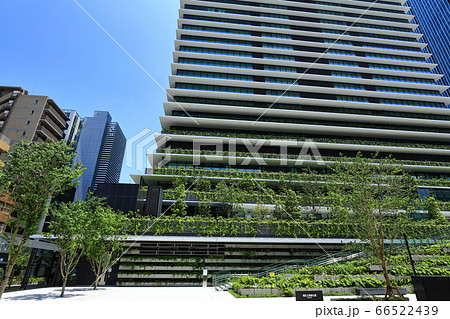 虎ノ門ヒルズ ビジネスタワー 66522439
