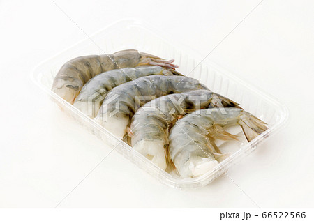 ブラックタイガー（海老） 66522566